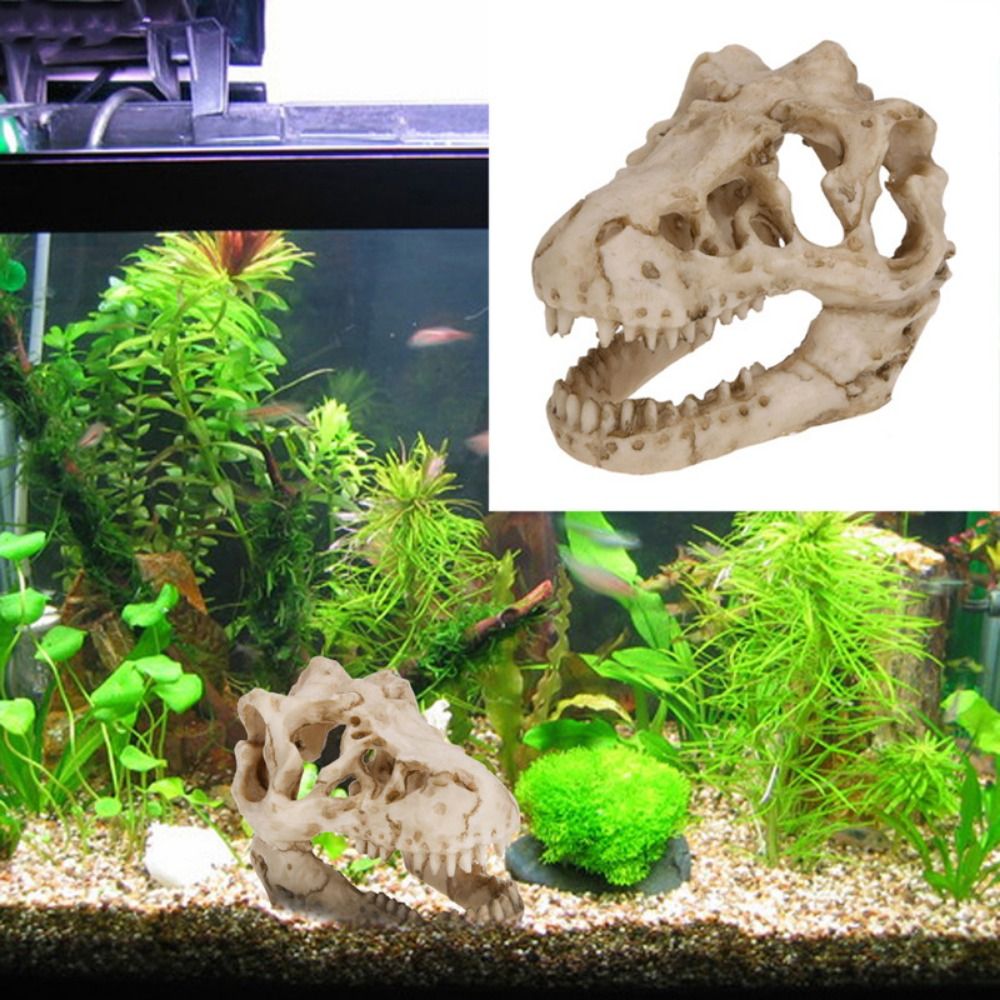 Aquarium Fish Hideout - Yaratıcı simülasyon dinozor kafatası kaçış evi