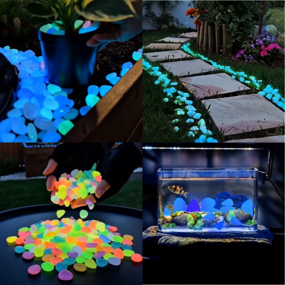 Aquarium Fish Cartoon - Karanlıkta Parlayan Renkli Taşlar, Bahçe Taşları,