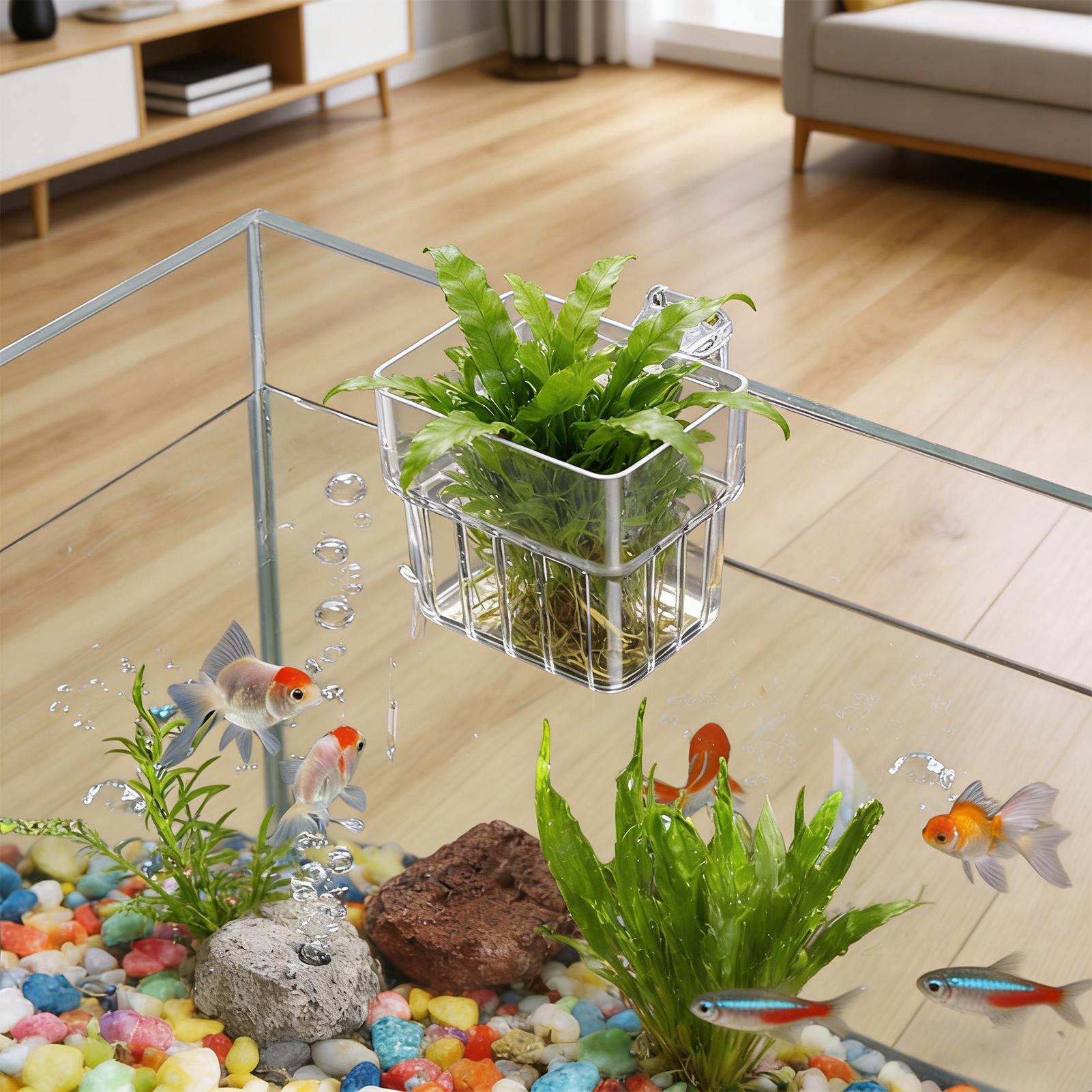 Aquarium Fish Pot - Şeffaf Asılabilir Akvaryum Bitki Tutucu Saksı