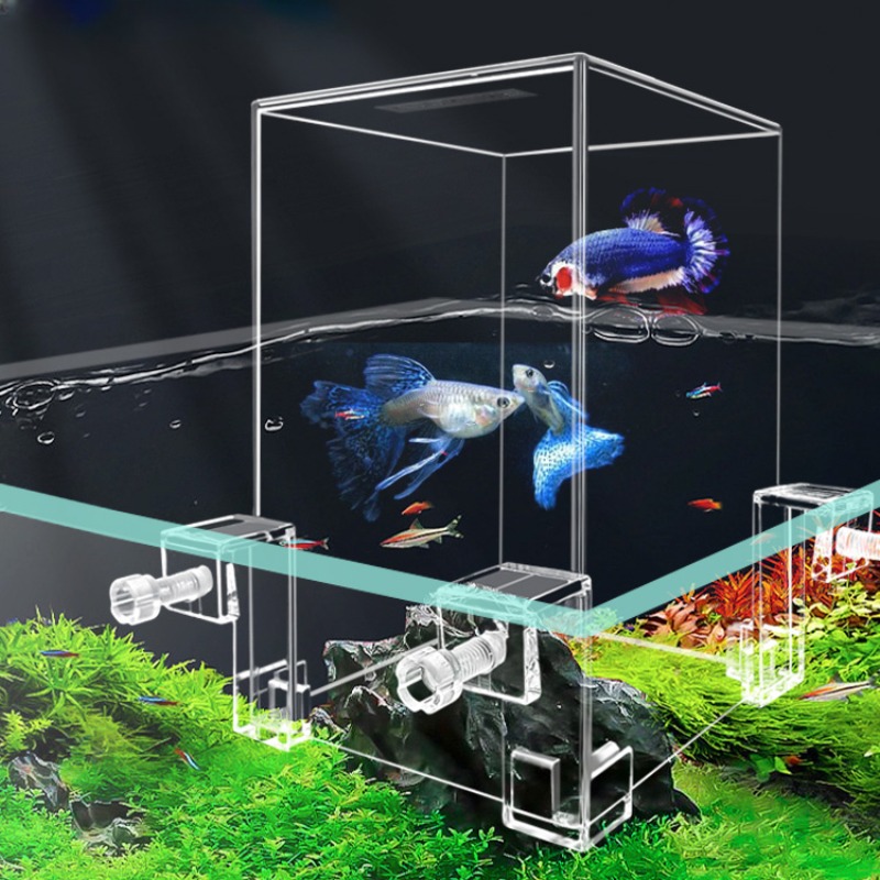Aquarium Fish Pot - Yaratıcı akvaryum tankları negatif basınç balık