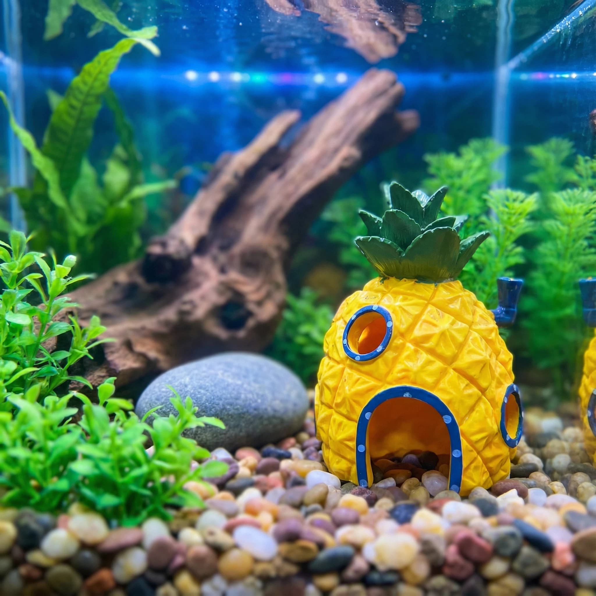 Aquarium Fish Hideout - Ananas Evi Akvaryum Dekoru, Betta Karidesleri
