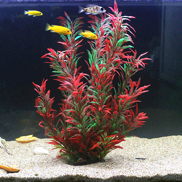 Aquarium Fish Breeding - 50 CM Yapay Balık Tankı Nadir