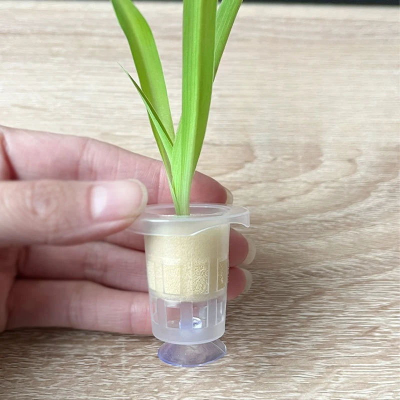 Aquarium Fish Pot - 50 adet/10 adet Akvaryum Dikim Sepeti