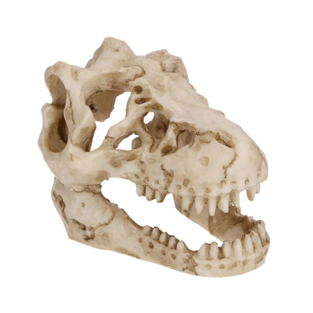 Yaratıcı simülasyon dinozor ka - Aquarium Fish Hideout incelemesi ve fiyatı