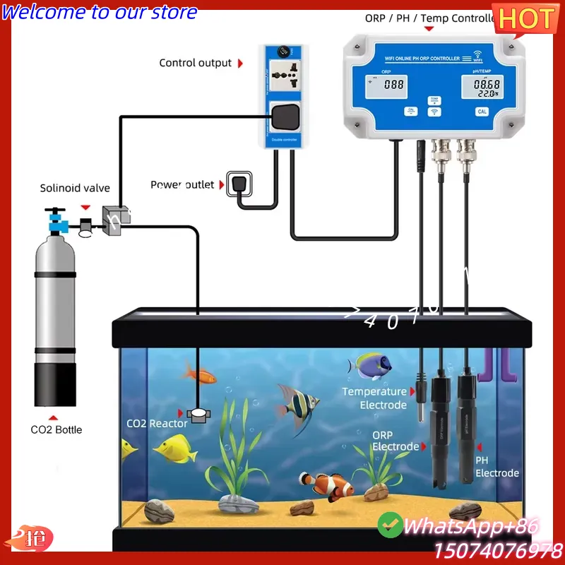 2026 Kablosuz WiFi Online Kont - Aquarium Fish Online incelemesi ve fiyatı