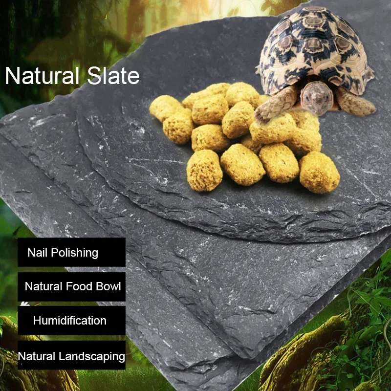 Doğal kayrak akvaryum Pet sürü - Aquarium Fish Pot incelemesi ve fiyatı