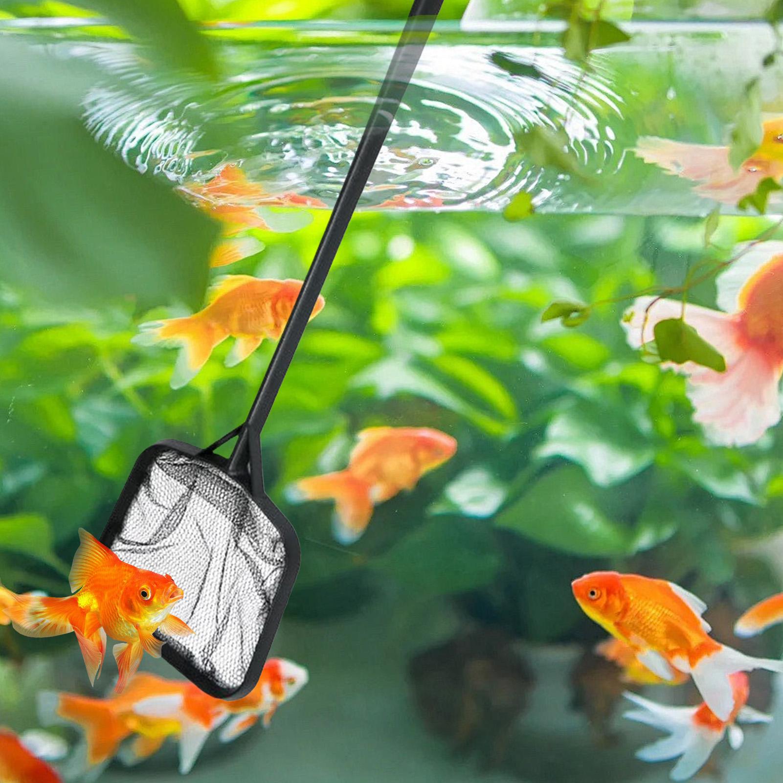 Havuz Temizleme Ağları Taşınab - Aquarium Fish Breeding incelemesi ve fiyatı