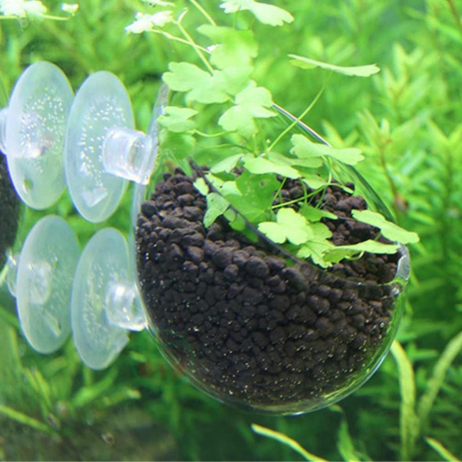 Akvaryum Bitki Tutucu Cam Su B - Aquarium Fish Pot incelemesi ve fiyatı