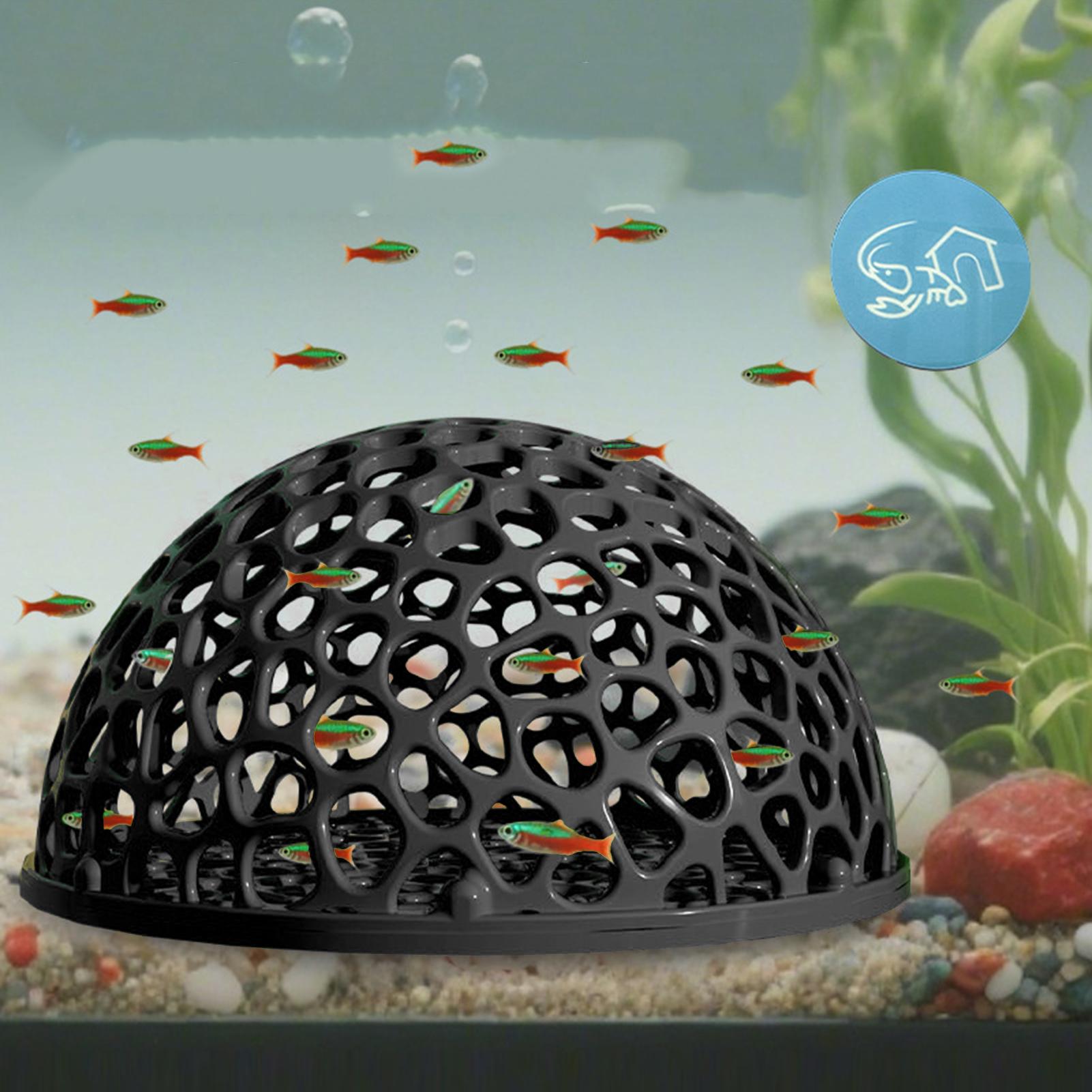 Küçük Balıklar ve Karidesler İ - Aquarium Fish Hideout incelemesi ve fiyatı