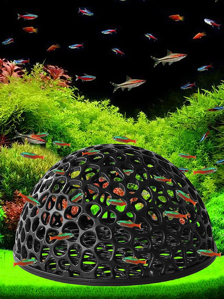 Küçük Balıklar ve Karidesler İ - Aquarium Fish Hideout incelemesi ve fiyatı