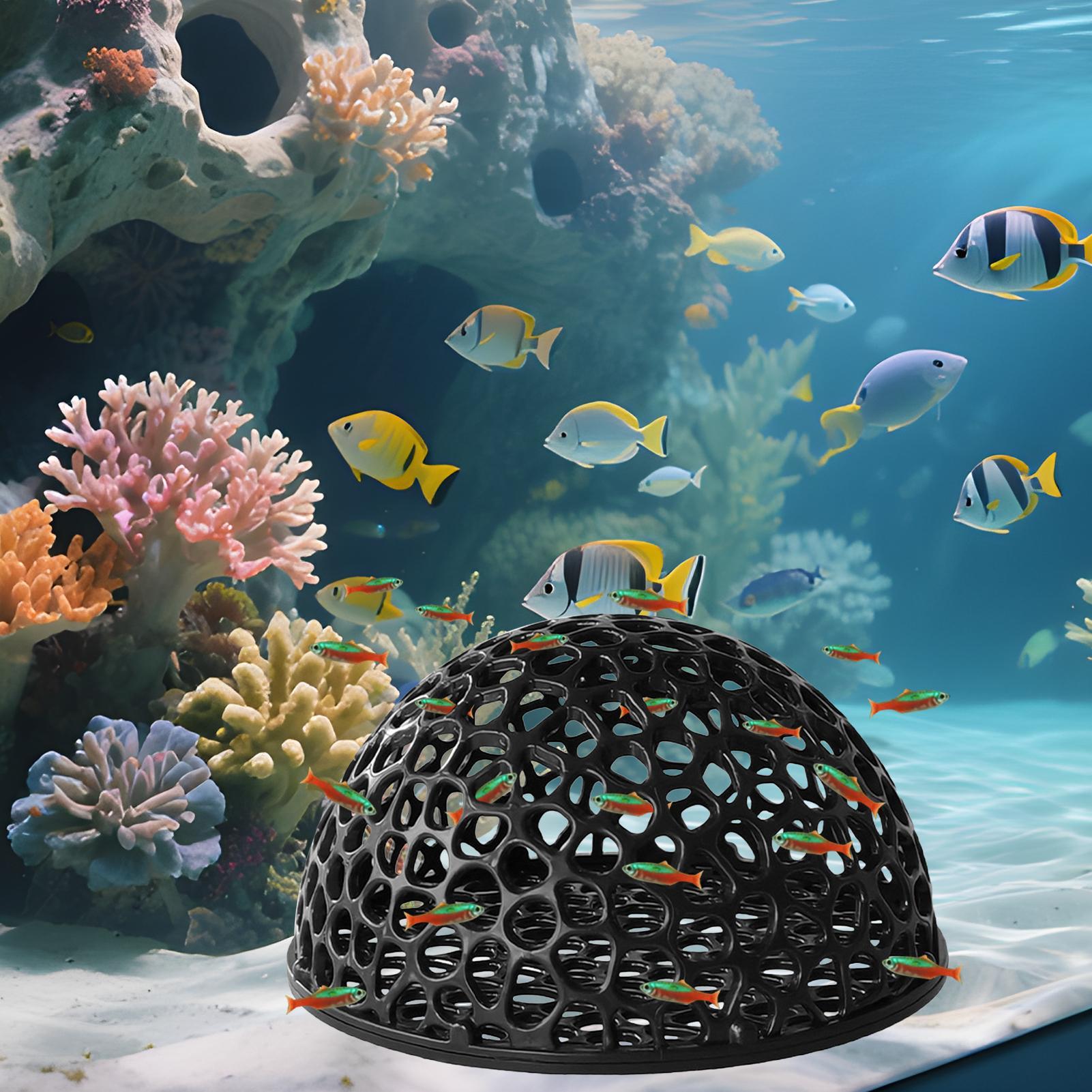 Küçük Balıklar ve Karidesler İ - Aquarium Fish Hideout incelemesi ve fiyatı