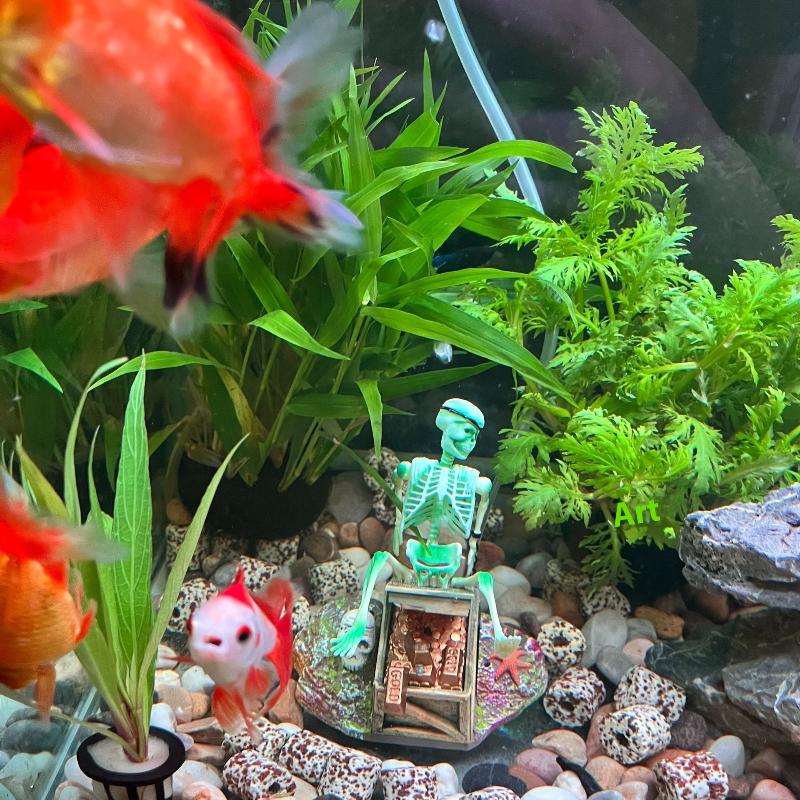 Balık Tankı Aerobik Peyzaj Kab - Aquarium Fish Cartoon incelemesi ve fiyatı