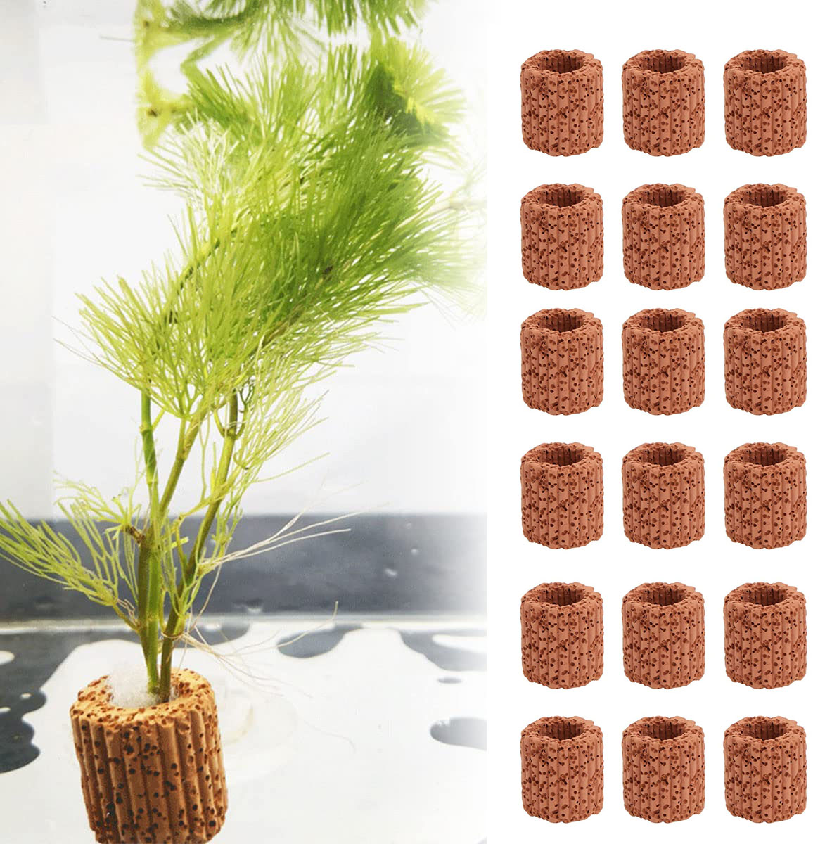 10/20 adet sucul su tesisi sab - Aquarium Fish Pot incelemesi ve fiyatı