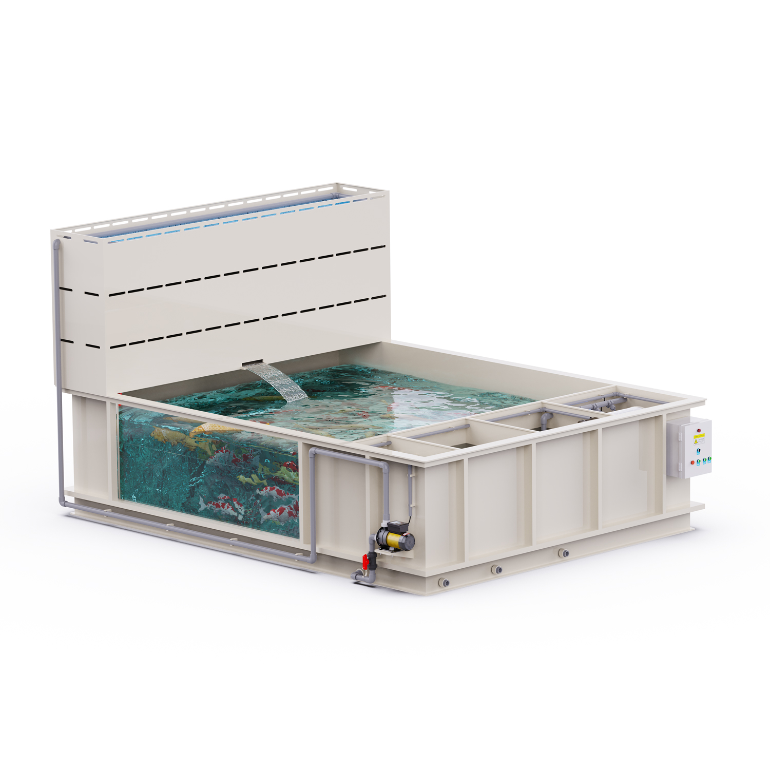 Fabrika Fiyatlı Akvaryum Balık - Aquarium Fish And Price incelemesi ve fiyatı
