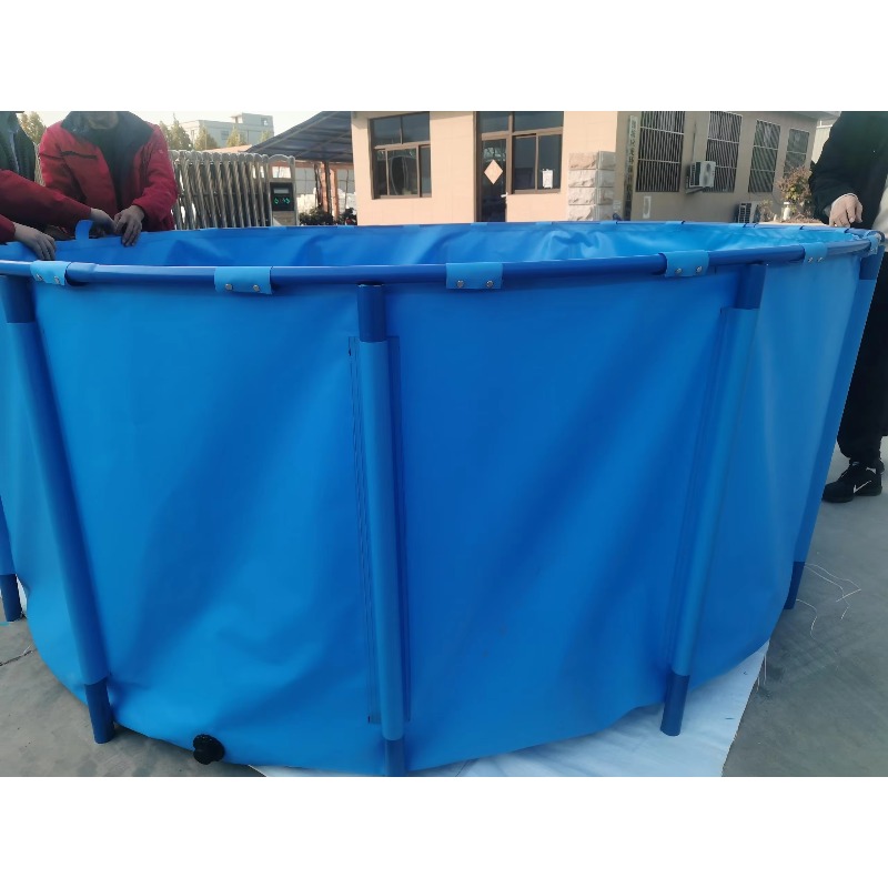 Yüksek Dayanımlı, Düşük Fiyatl - Aquarium Fish And Price incelemesi ve fiyatı