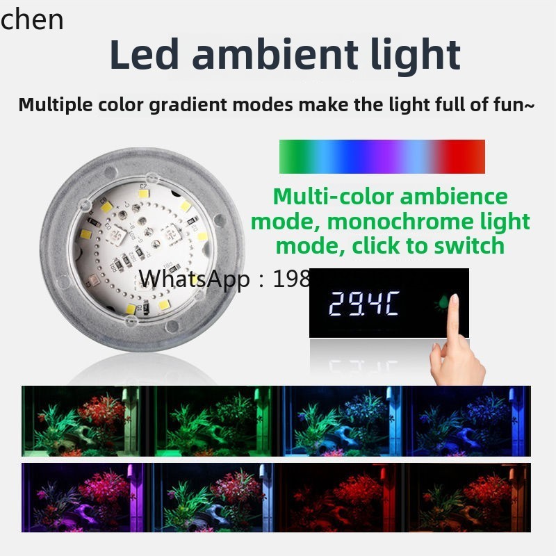 YGG ultra beyaz cam küçük balı - Aquarium Fish Without Oxygen incelemesi ve fiyatı