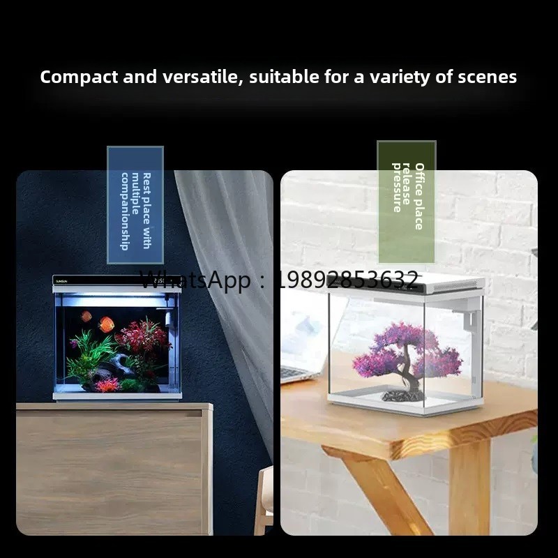 YGG ultra beyaz cam küçük balı - Aquarium Fish Without Oxygen incelemesi ve fiyatı