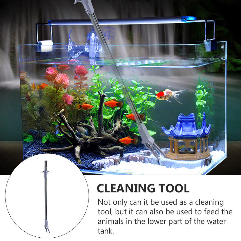 2 Adet Profesyonel Akvaryum Te - Aquarium Fish Long incelemesi ve fiyatı