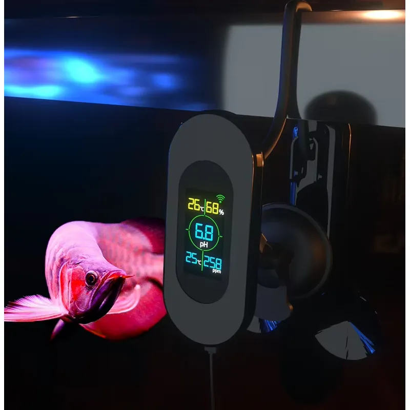 Wifi Bağlantılı Akvaryum Balık - Aquarium Fish And Price incelemesi ve fiyatı