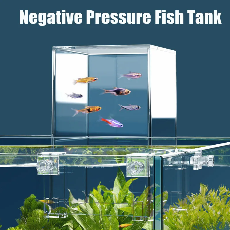 Yaratıcı akvaryum tankları neg - Aquarium Fish Pot incelemesi ve fiyatı