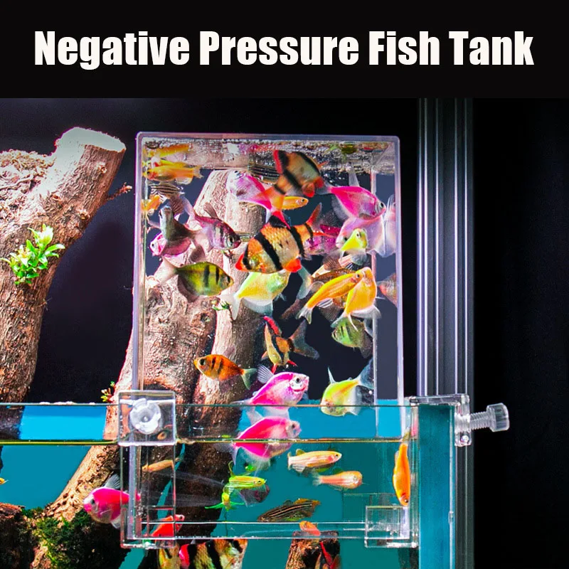Yaratıcı akvaryum tankları neg - Aquarium Fish Pot incelemesi ve fiyatı