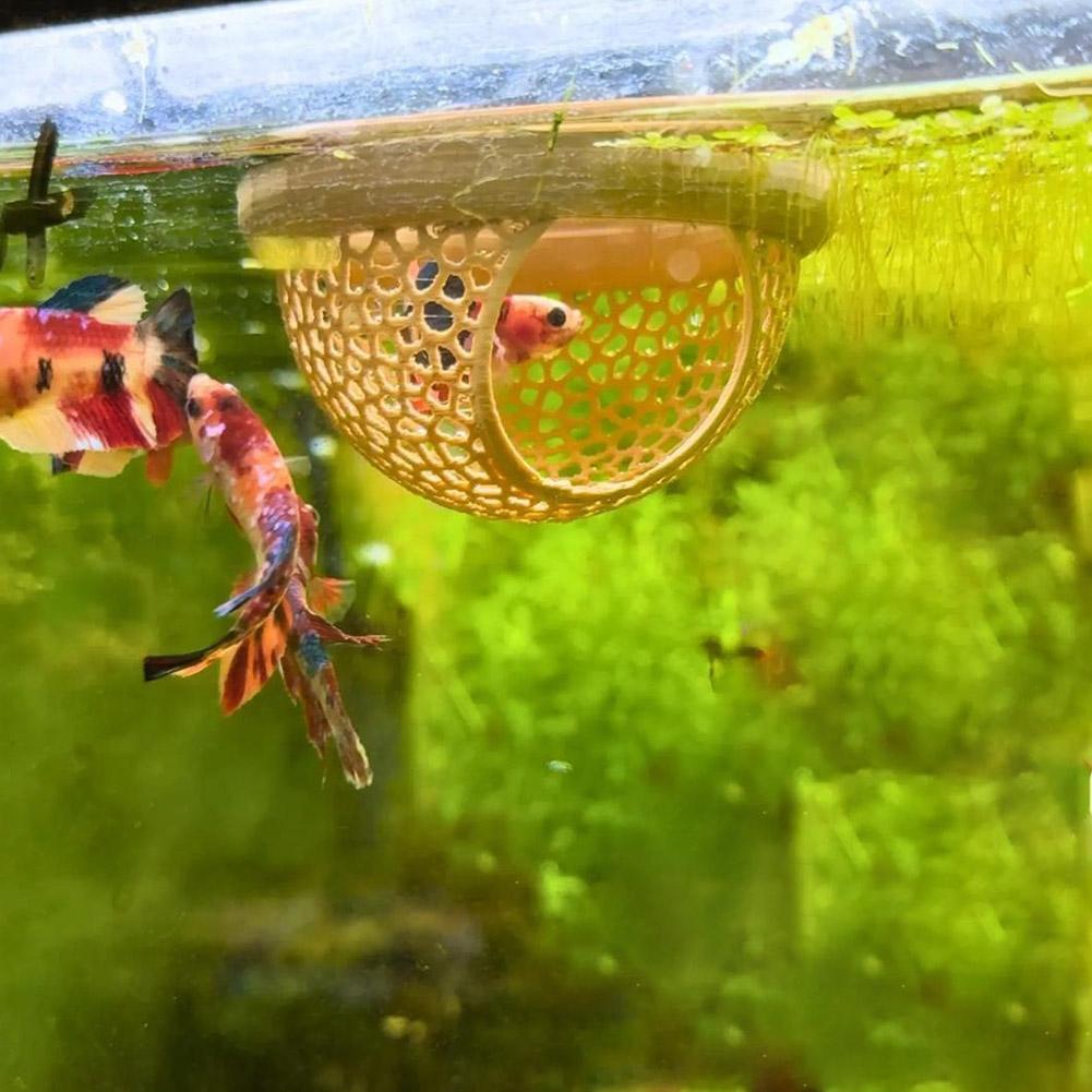 Akvaryum Yüzen Mağara Balık Ka - Aquarium Fish Hideout incelemesi ve fiyatı