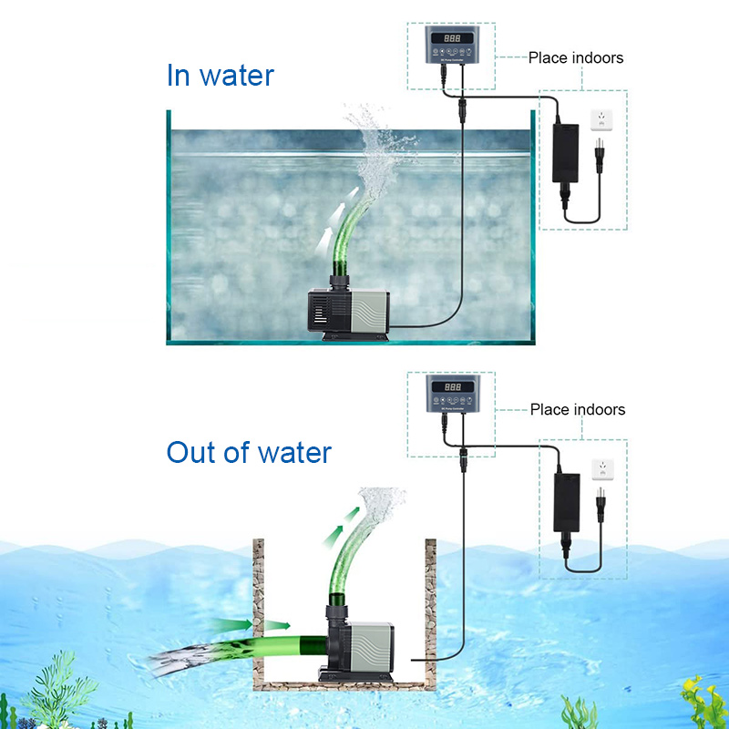 Fabrika çıkışlı toptancı fiyat - Aquarium Fish And Price incelemesi ve fiyatı