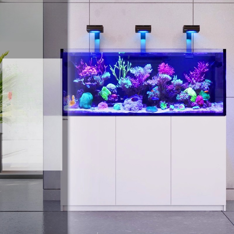 2026 Çok Satan Toptan Fiyatlı  - Aquarium Fish And Price incelemesi ve fiyatı