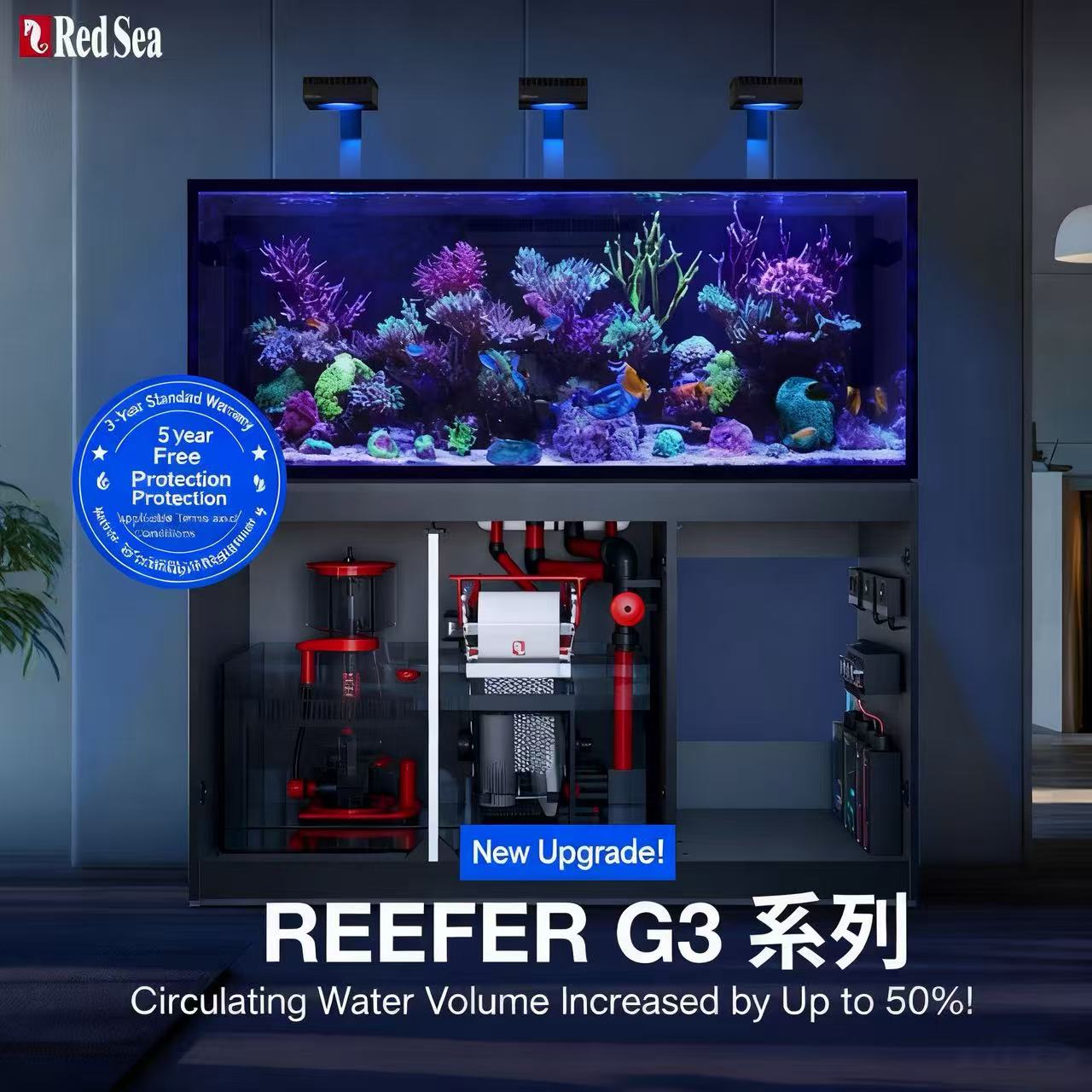 2026 Çok Satan Toptan Fiyatlı  - Aquarium Fish And Price incelemesi ve fiyatı