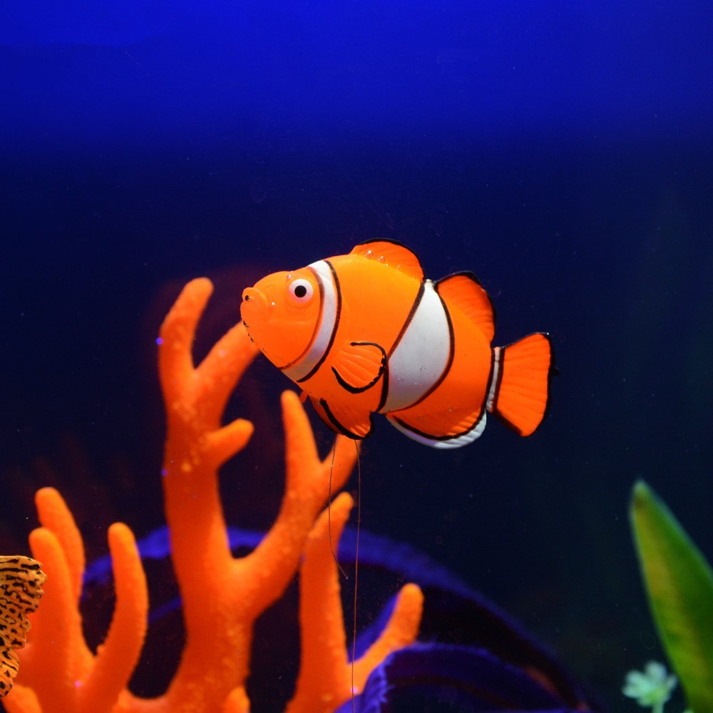 Karanlıkta Parlayan Silikon Ba - Aquarium Fish Glow In The Dark incelemesi ve fiyatı