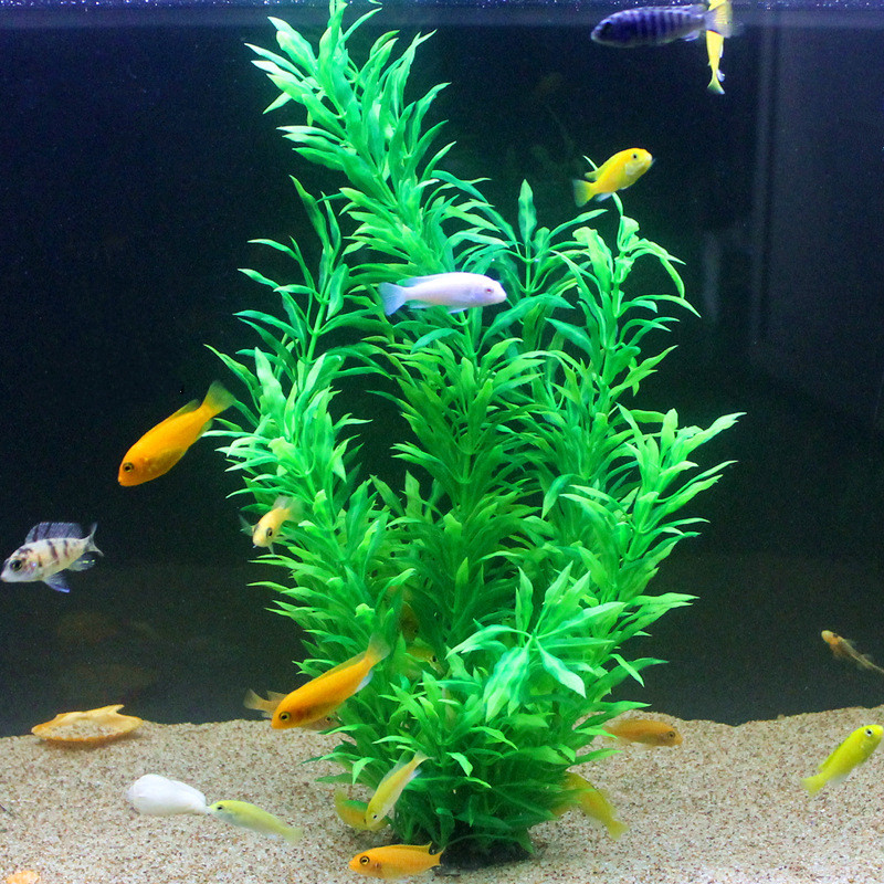 50 CM Yapay Balık Tankı Nadir  - Aquarium Fish Breeding incelemesi ve fiyatı