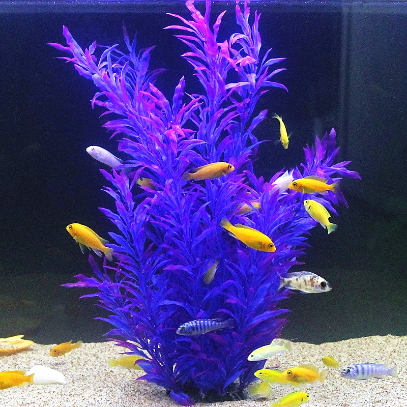 50 CM Yapay Balık Tankı Nadir  - Aquarium Fish Breeding incelemesi ve fiyatı