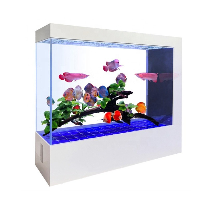 Toptan Özelleştirme Son Tasarı - Aquarium Fish And Price incelemesi ve fiyatı