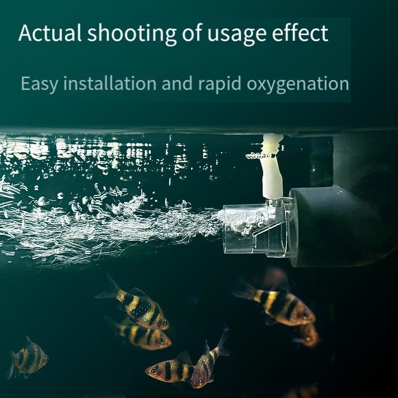 Oksijen Difüzör Borusu Filtres - Aquarium Fish Without Oxygen incelemesi ve fiyatı