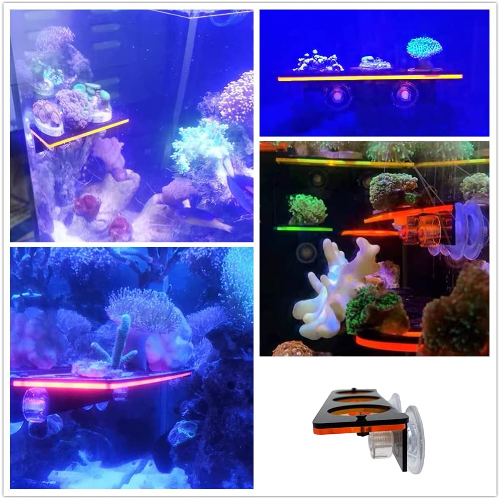 Floresan Mercan Frag Fiş Brake - Aquarium Fish Cartoon incelemesi ve fiyatı