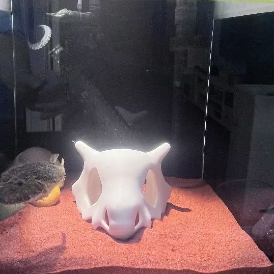 3D Baskılı Balık Karides Sürün - Aquarium Fish Hideout incelemesi ve fiyatı