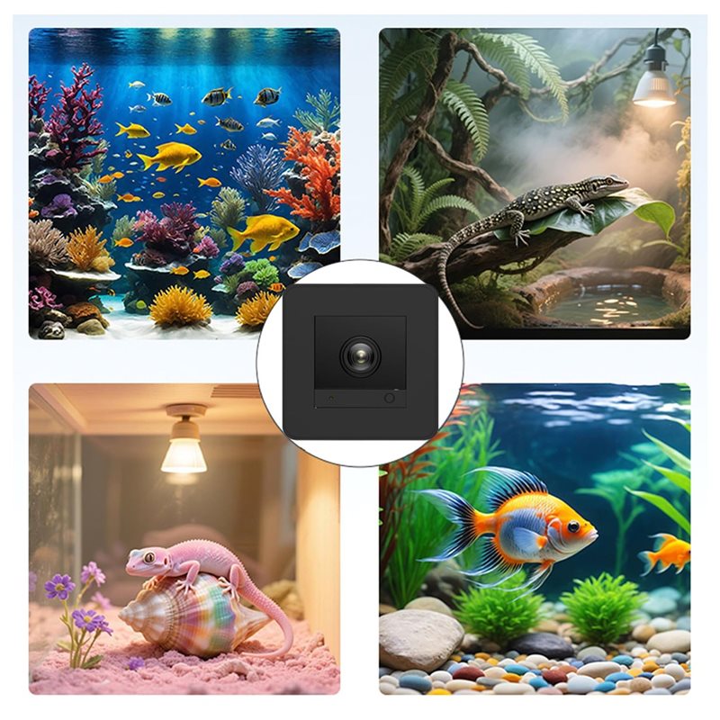 Fiyat İndirimi! Balık Tankı Ka - Aquarium Fish And Price incelemesi ve fiyatı